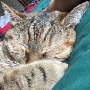 Meet your Posher, Emma